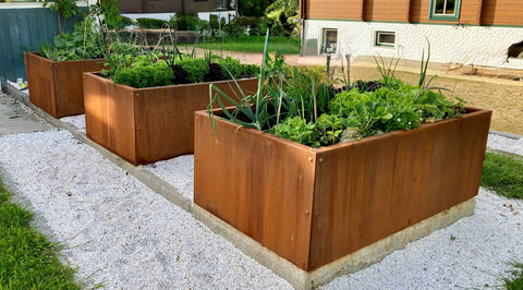 Hochbeete aus Cortenstahl – edel, langlebig und einzigartig