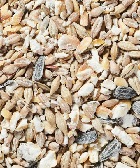 Körnermix Premium - biotauglich