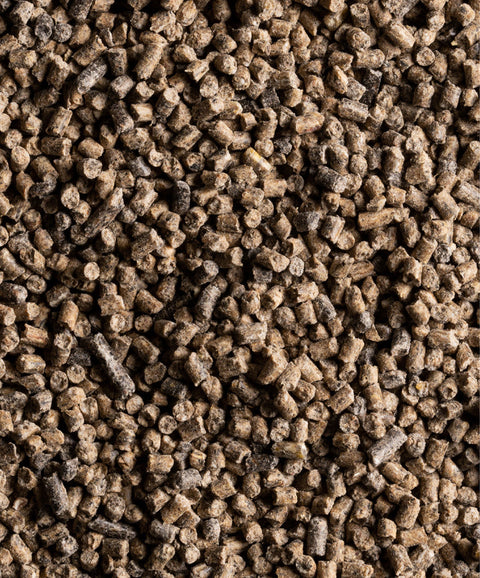 Legehennenkonzentrat - biotauglich