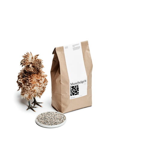 Muschelgrit - biotauglich