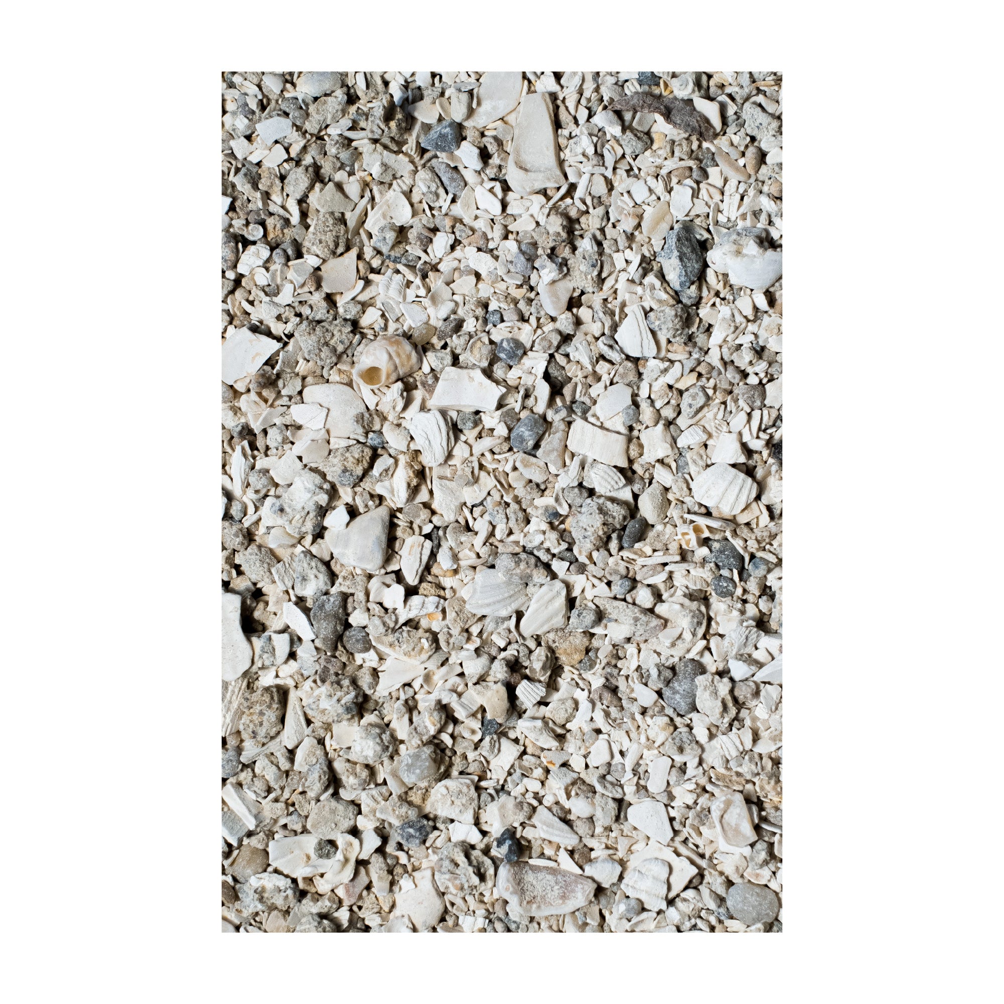 Muschelgrit - biotauglich